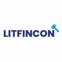 LitFinCon